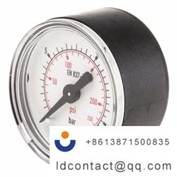 7833526_WIKA Plastic Pointer Axial 